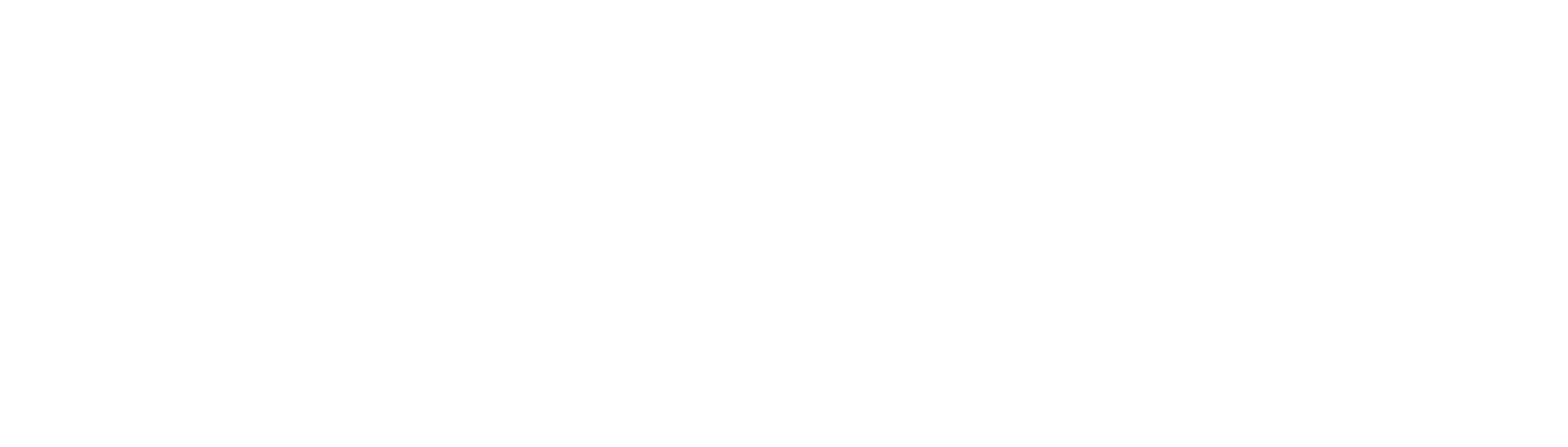 Nepix Logo
